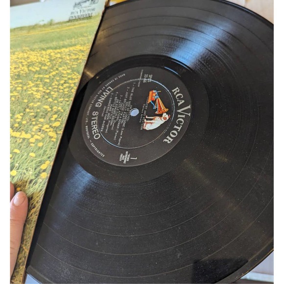 Country/Western Vinyl - Dolly Parton & More - Picture 3 of 5